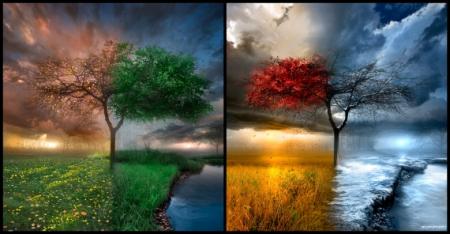 PRINTEMPS,ETE,AUTOMNE,HIVER